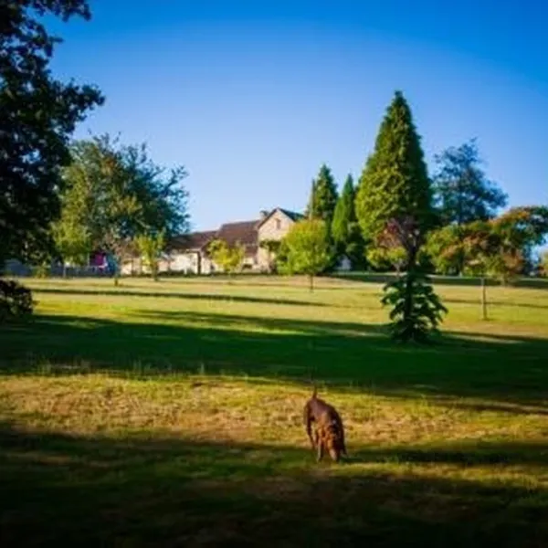 hondencamping-la-soupeze-dournazac-dordogne-y4pv3