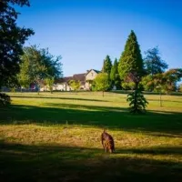 hondencamping-la-soupeze-dournazac-dordogne-y4pv3