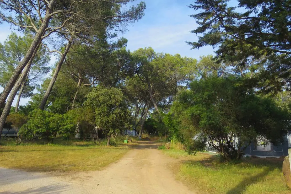camping-les-bruyeres-le-luc-lfvxi