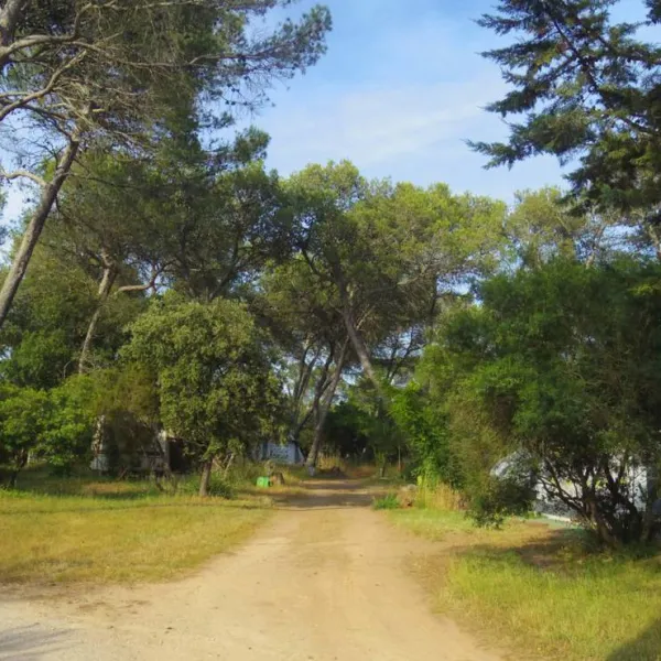 camping-les-bruyeres-le-luc-lfvxi