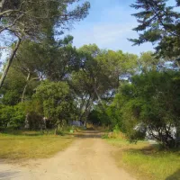 Camping Les Bruyeres