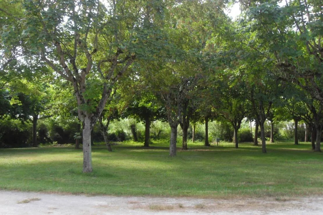 camping-le-plan-deau-st-nicolas-de-la-grave-wge1y
