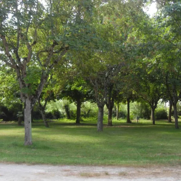 camping-le-plan-deau-st-nicolas-de-la-grave-wge1y