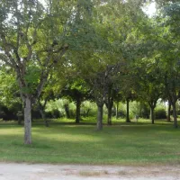 Camping Le Plan D'eau