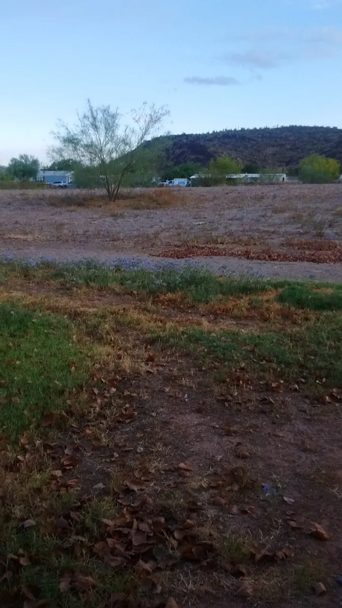 desert-sands-rv-park-phoenix-dtqet