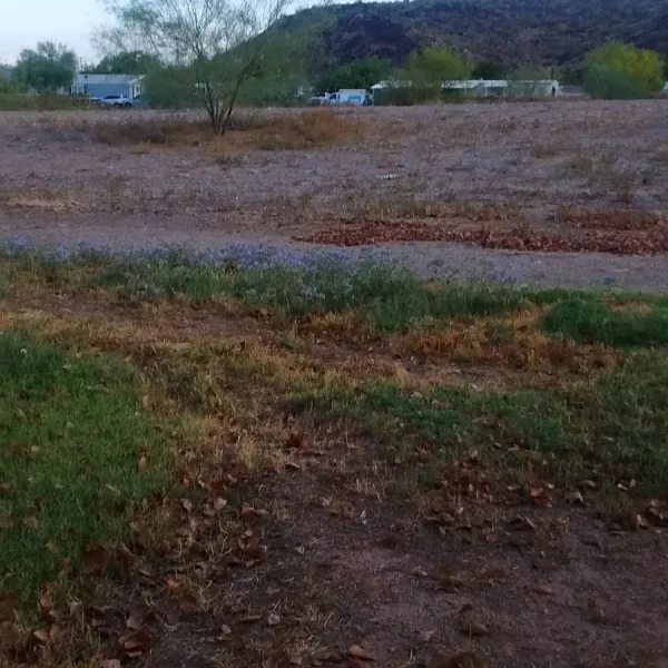 desert-sands-rv-park-phoenix-dtqet