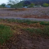 Desert Sands RV Park