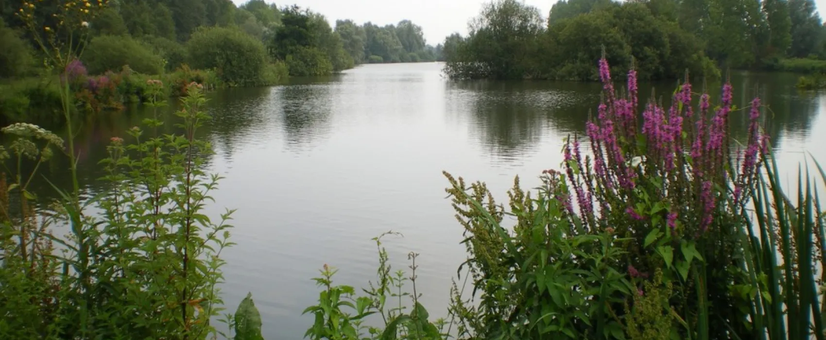 Domaine de la Canardiere