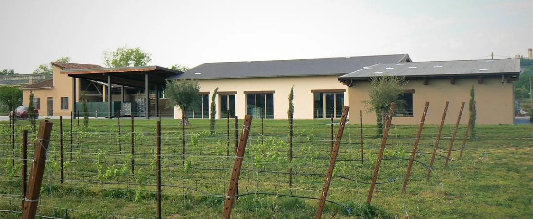 AGRICAMPEGGIO ORO VERDE