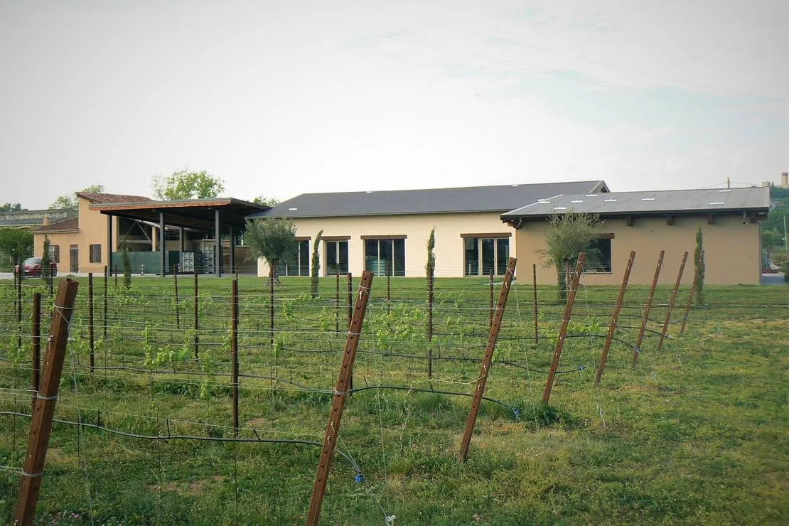 agricampeggio-oro-verde-verona-pynji