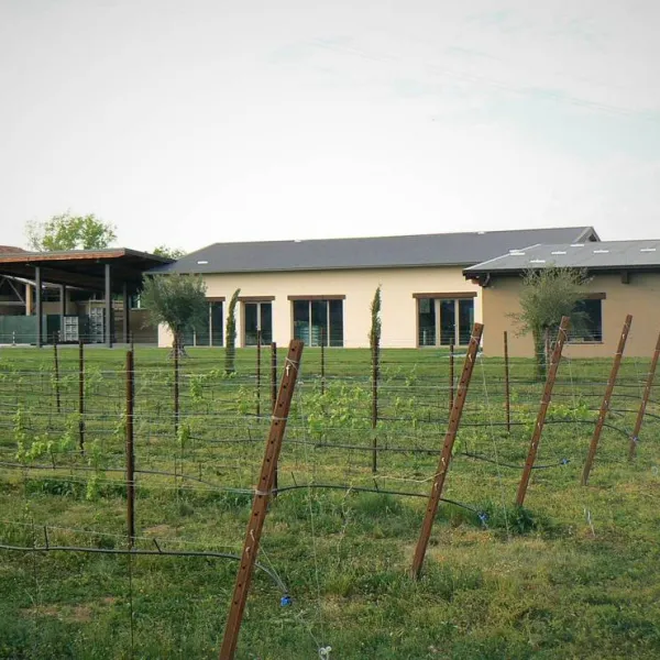 AGRICAMPEGGIO ORO VERDE