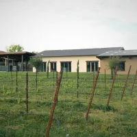 agricampeggio-oro-verde-verona-pynji