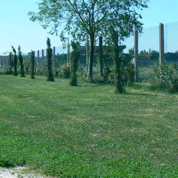 AGRICAMPEGGIO ORO VERDE