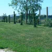 agricampeggio-oro-verde-verona-qczz1