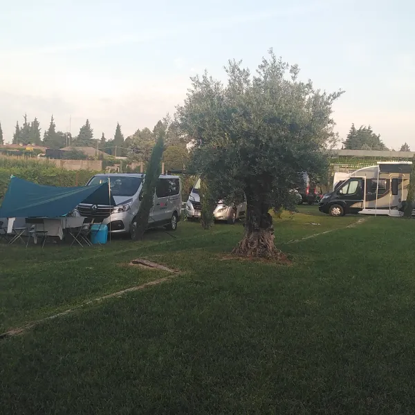agricampeggio-oro-verde-verona-zdaya