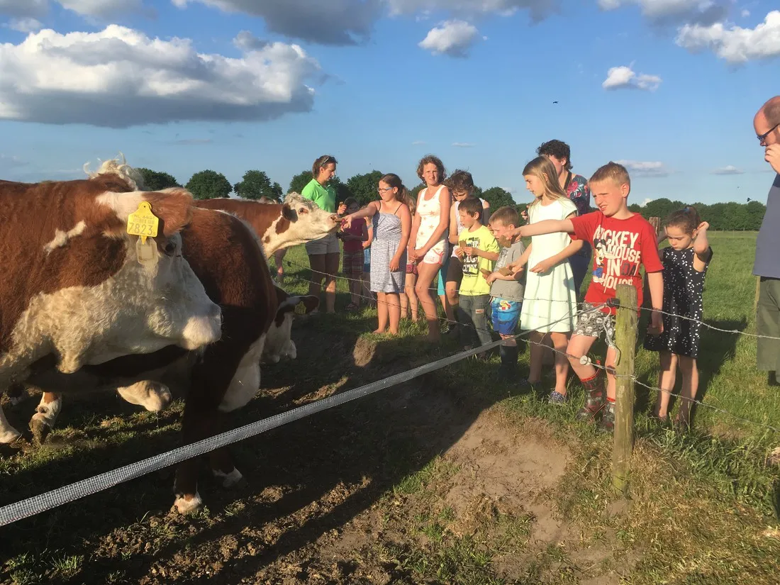 boerderijcamping-van-t-zandeind-riel-hskyk