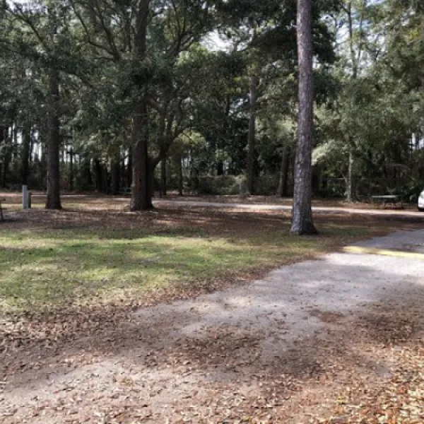 dauphin-island-campground-dauphin-island-bowzl