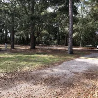 dauphin-island-campground-dauphin-island-bowzl