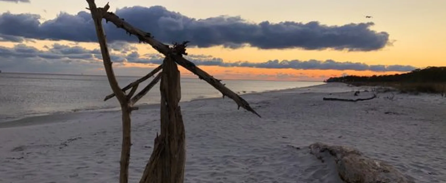 Dauphin Island Campground
