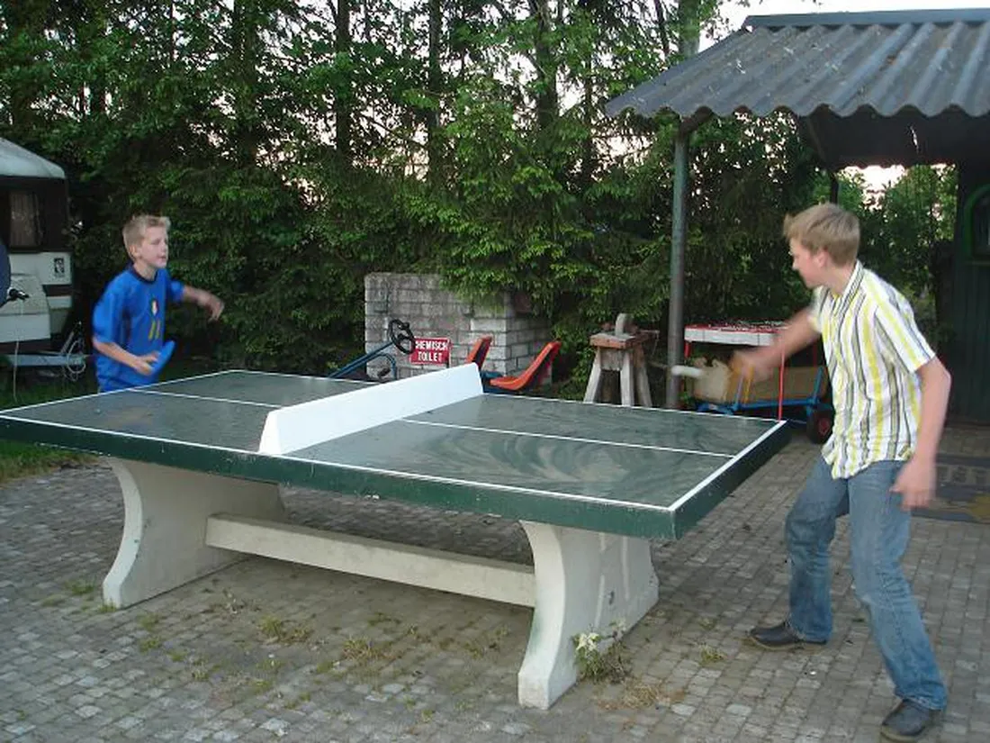 piet-theuws-bergeijk-x4eed