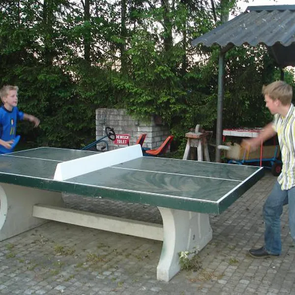 piet-theuws-bergeijk-x4eed