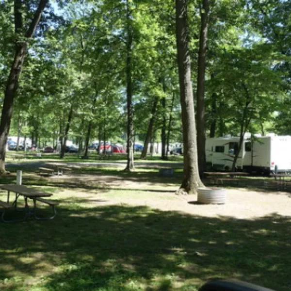 miller-lake-campground-hopkins-ctzwf