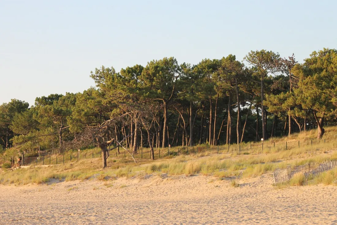 ideal-st-georges-de-didonne-charente-maritime-hdncj