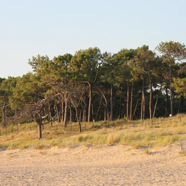ideal-st-georges-de-didonne-charente-maritime-hdncj