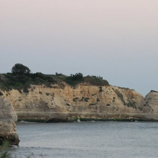 ideal-st-georges-de-didonne-charente-maritime-yekno
