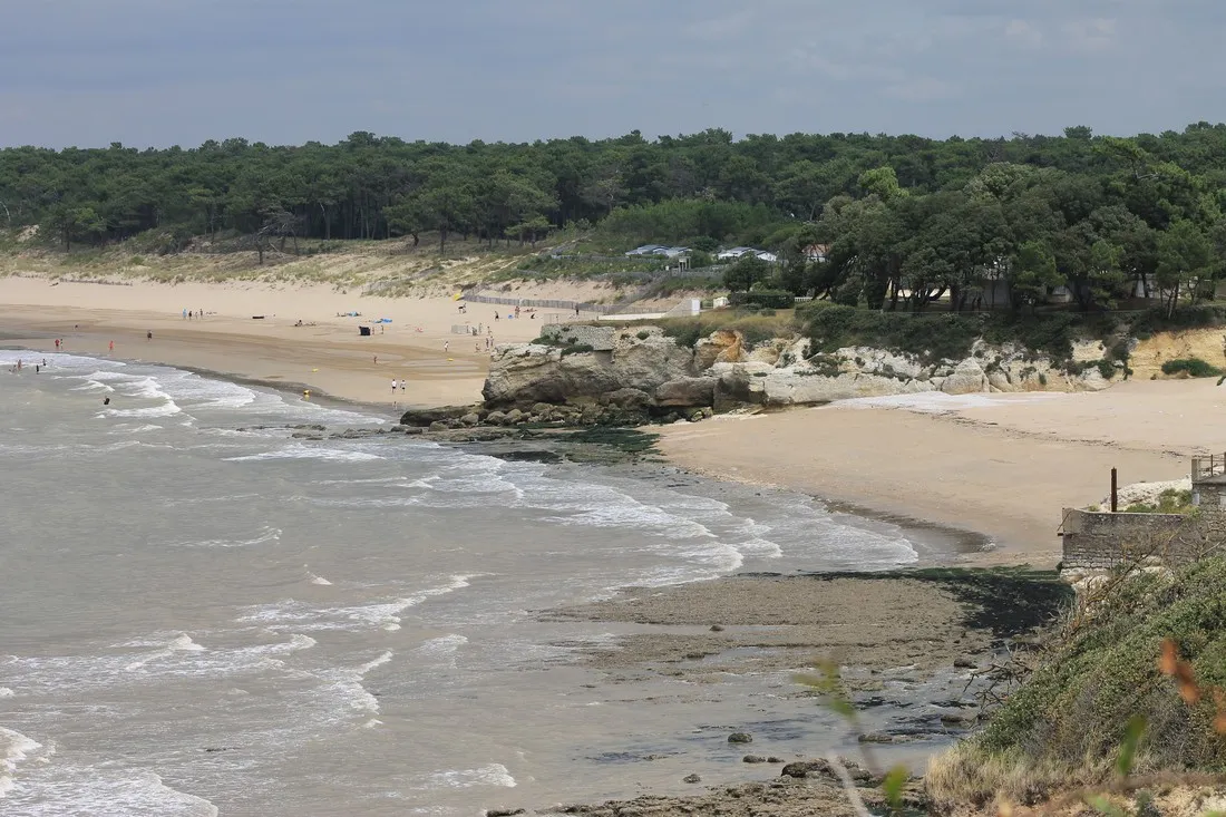 ideal-st-georges-de-didonne-charente-maritime-yntob