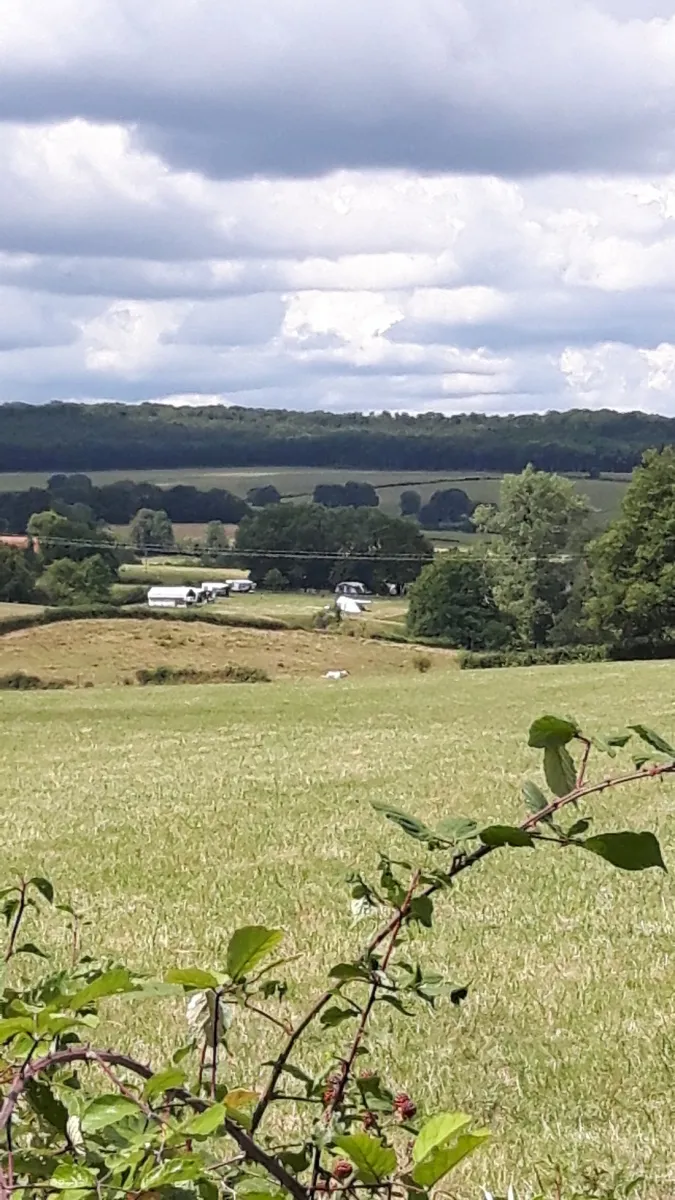 hondencamping-le-grand-larue-couleuvre-e8soi