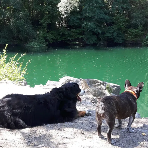 Hondencamping Le Grand Larue