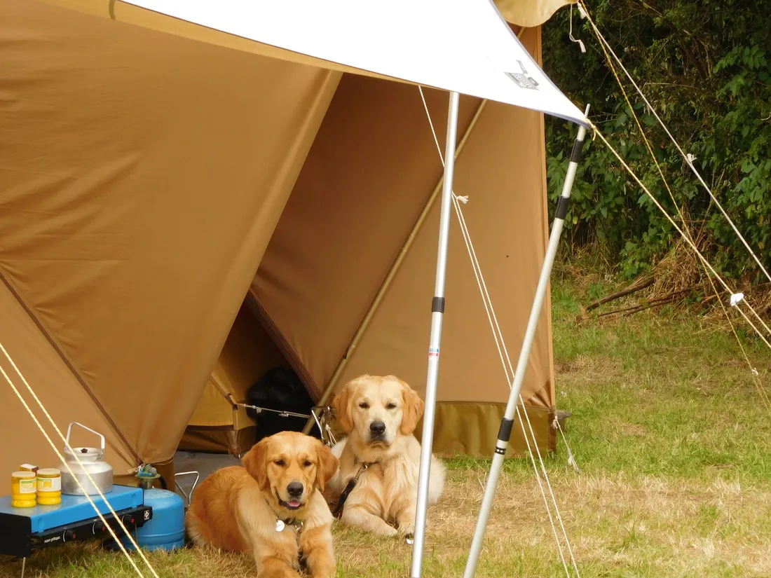 hondencamping-le-grand-larue-couleuvre-mpop3