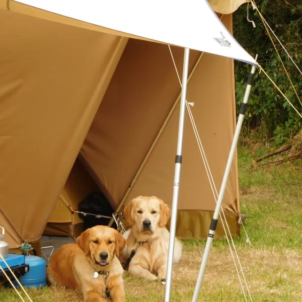Hondencamping Le Grand Larue