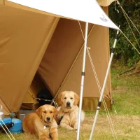 Hondencamping Le Grand Larue