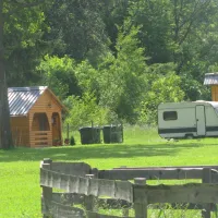 camping-perun-lipce-blejska-dobrava-nf9oh