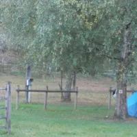 camping-la-londagne-marie-therese-et-rene-jeantet-st-beron-pkwbj