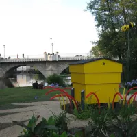 Municipal de l'Ile de la Ronde