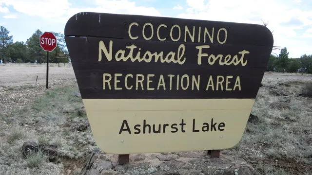 ashurst-lake-campground-flagstaff-9i3hn