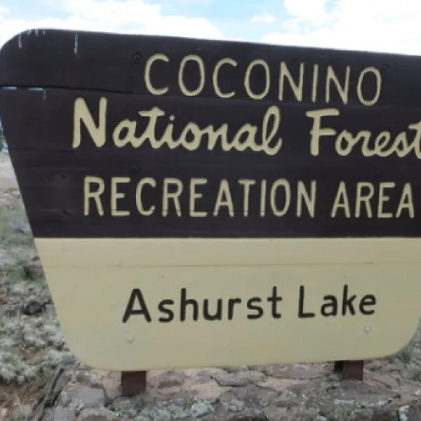 ashurst-lake-campground-flagstaff-9i3hn