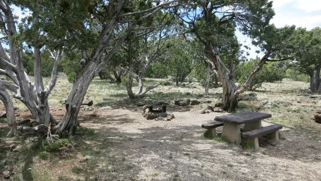 ashurst-lake-campground-flagstaff-qb5na