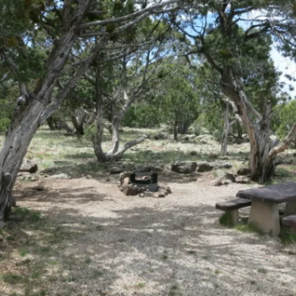 ashurst-lake-campground-flagstaff-qb5na