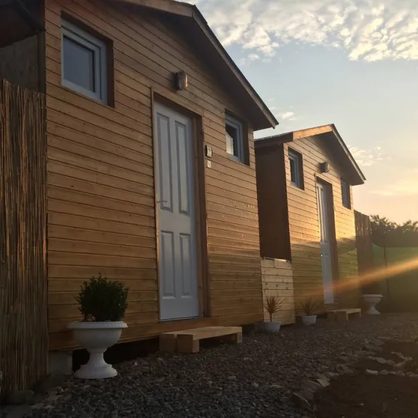 canasta-camping-costinesti-2aug8
