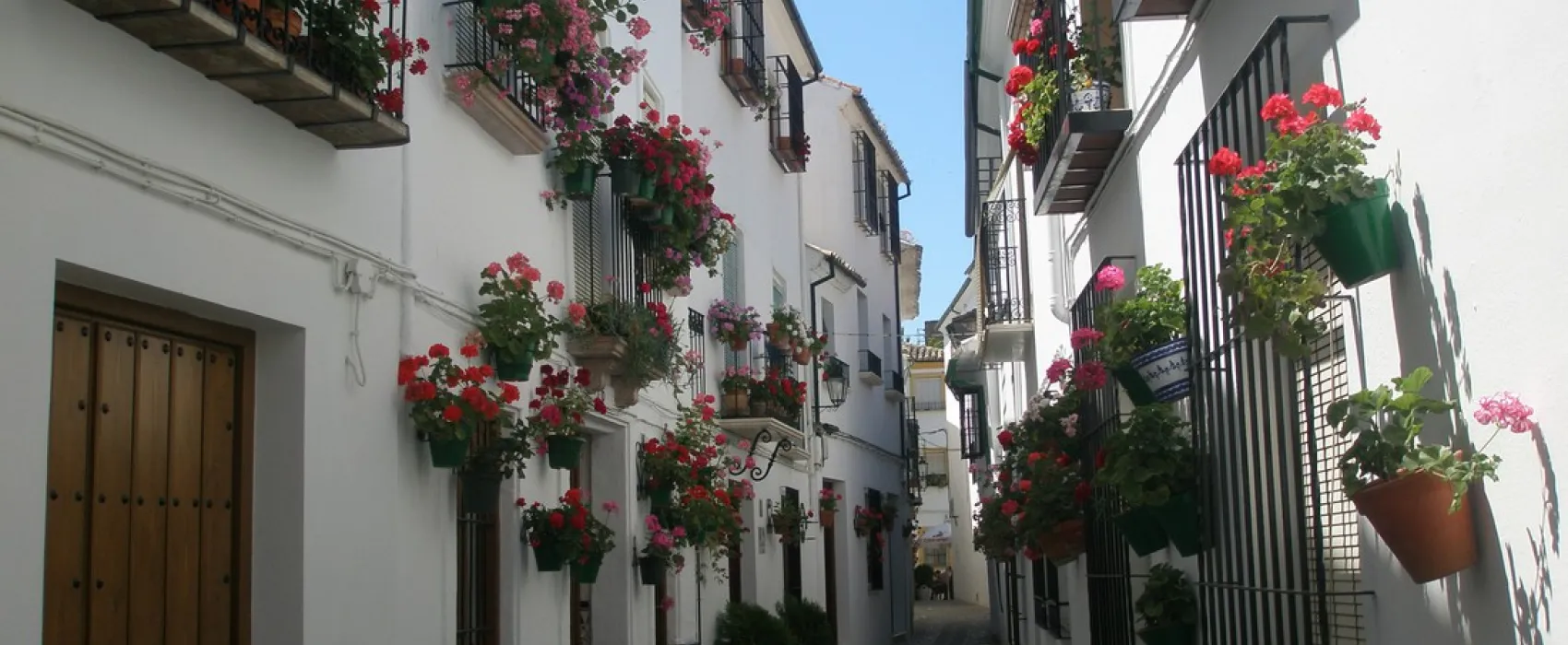 Aracena Sierra