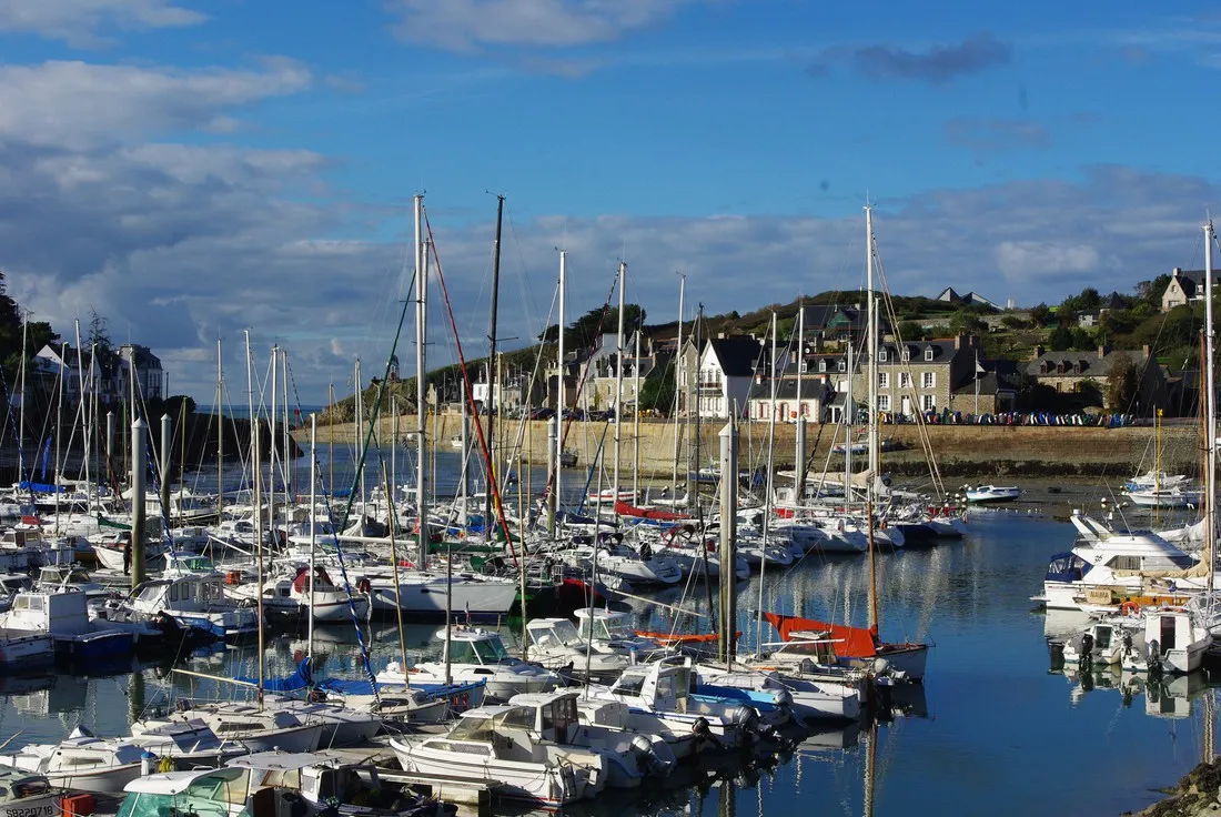 les-jonquilles-st-alban-5voht