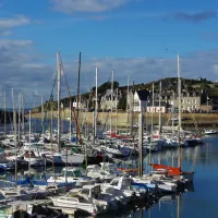 les-jonquilles-st-alban-5voht