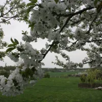 moongarden-kovacovce-bzgke