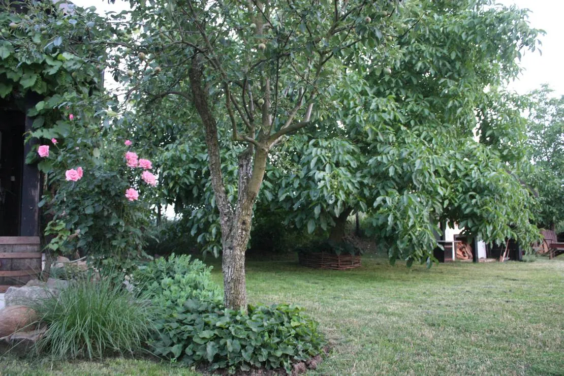 moongarden-kovacovce-lvl0g
