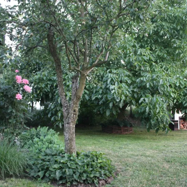 moongarden-kovacovce-lvl0g