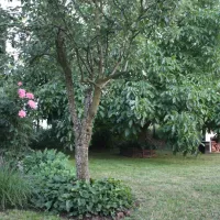 moongarden-kovacovce-lvl0g